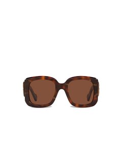 BB Havana Brown Sunglasses
